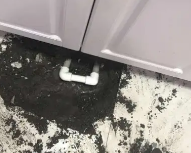 鄂尔多斯市查漏水哪家好